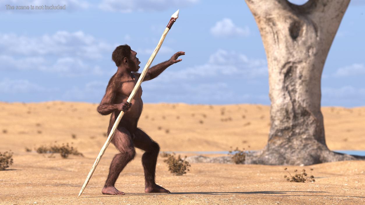 Homo Habilis with Spear Fur 3D