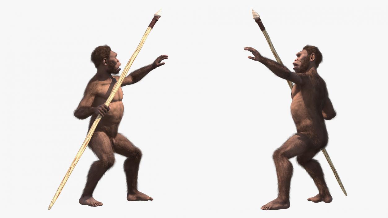 Homo Habilis with Spear Fur 3D