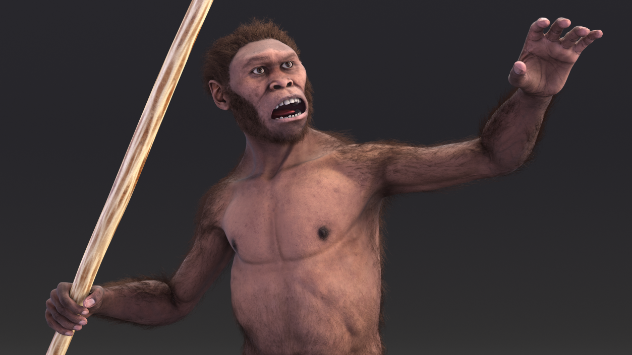 Homo Habilis with Spear Fur 3D