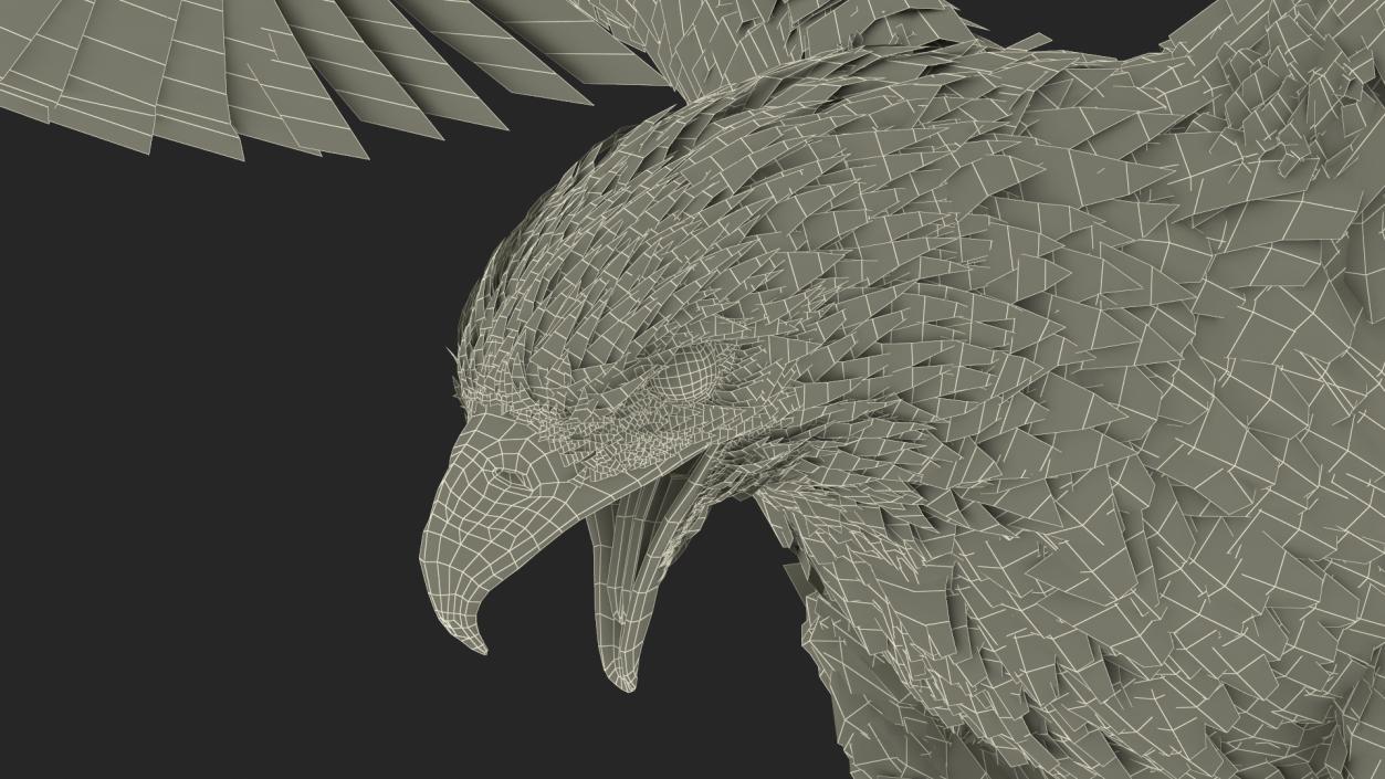 Realistic Bald Eagle Rigged 3D