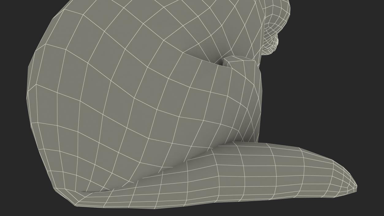 3D model Raccoon Sitting Pose