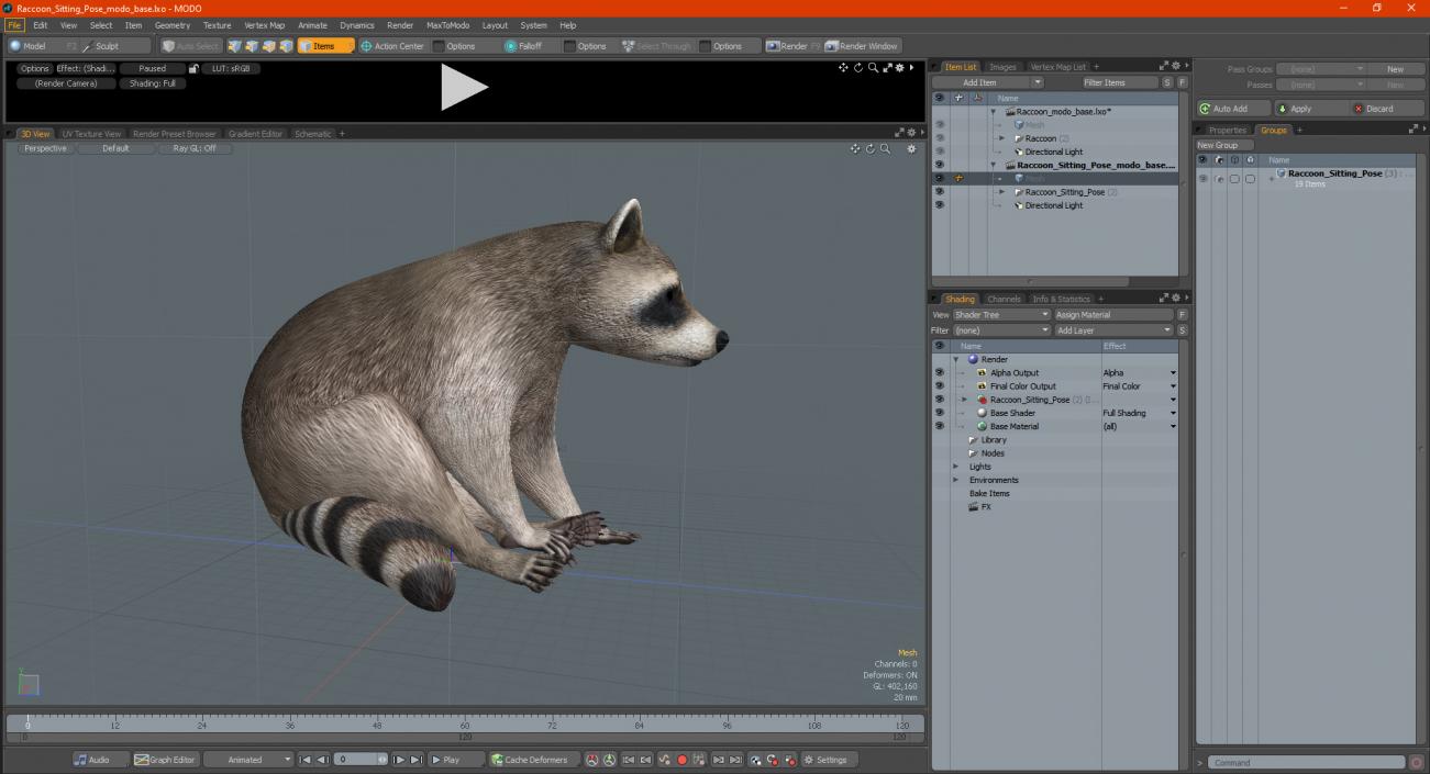 3D model Raccoon Sitting Pose