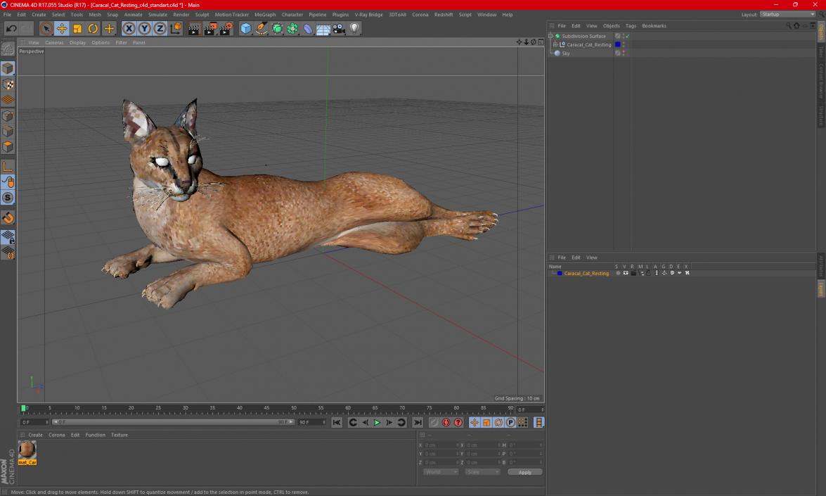 Caracal Cat Resting 3D model