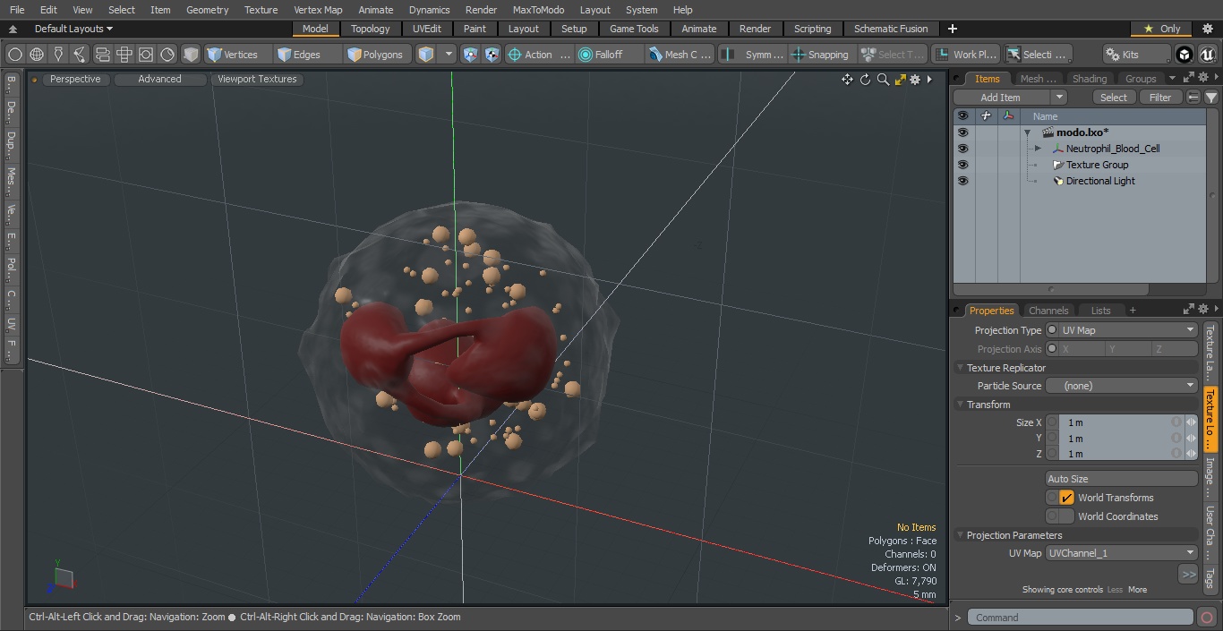 3D Neutrophil Blood Cell