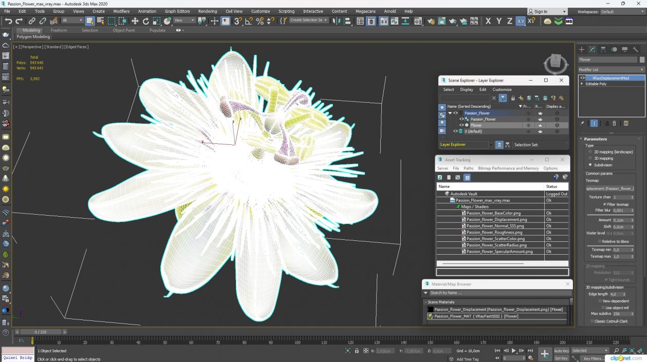 Passion Flower 3D model