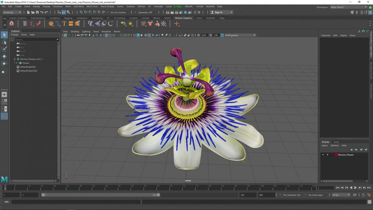 Passion Flower 3D model