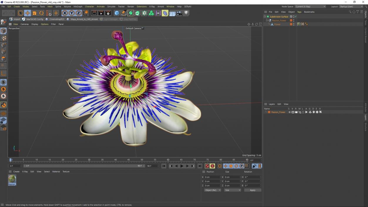 Passion Flower 3D model