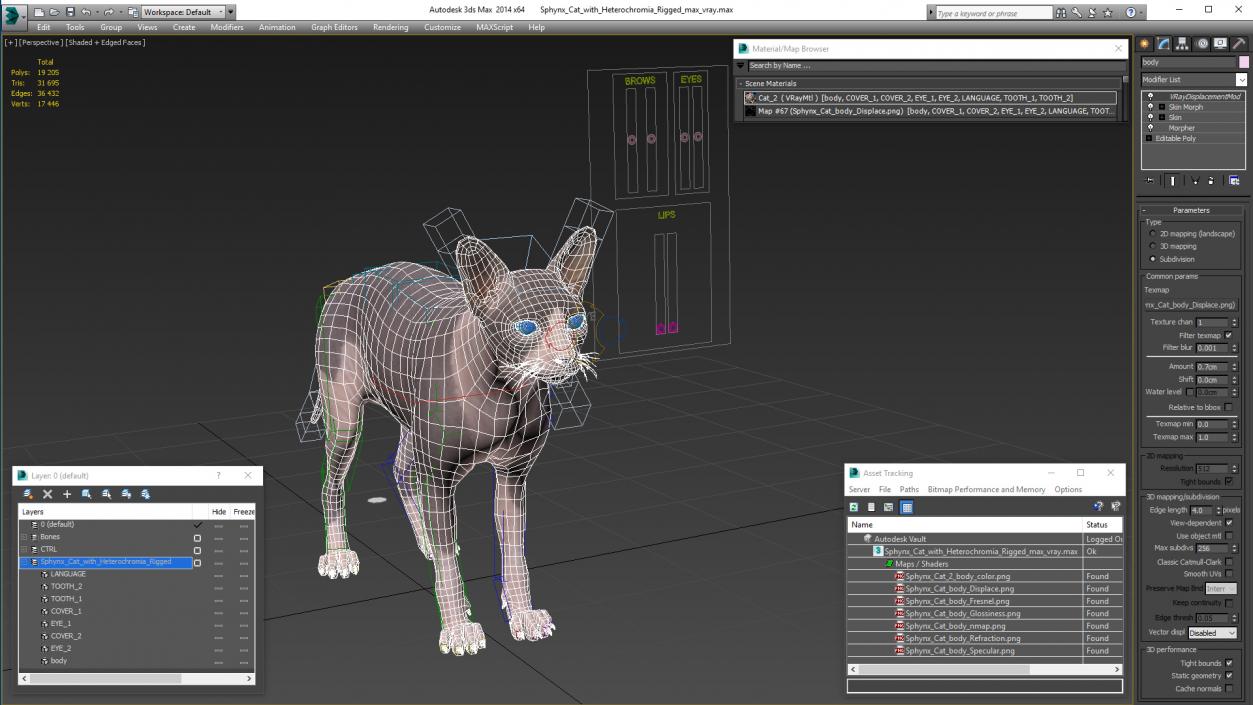 3D Sphynx Cat with Heterochromia Rigged