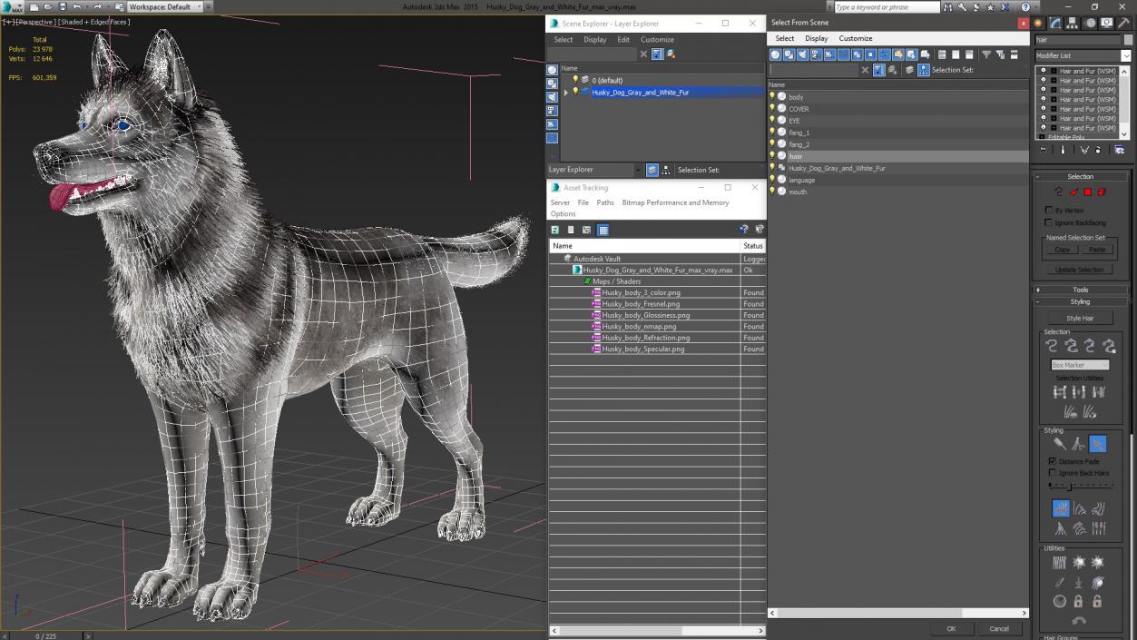 3D Husky Dog Gray and White Fur model