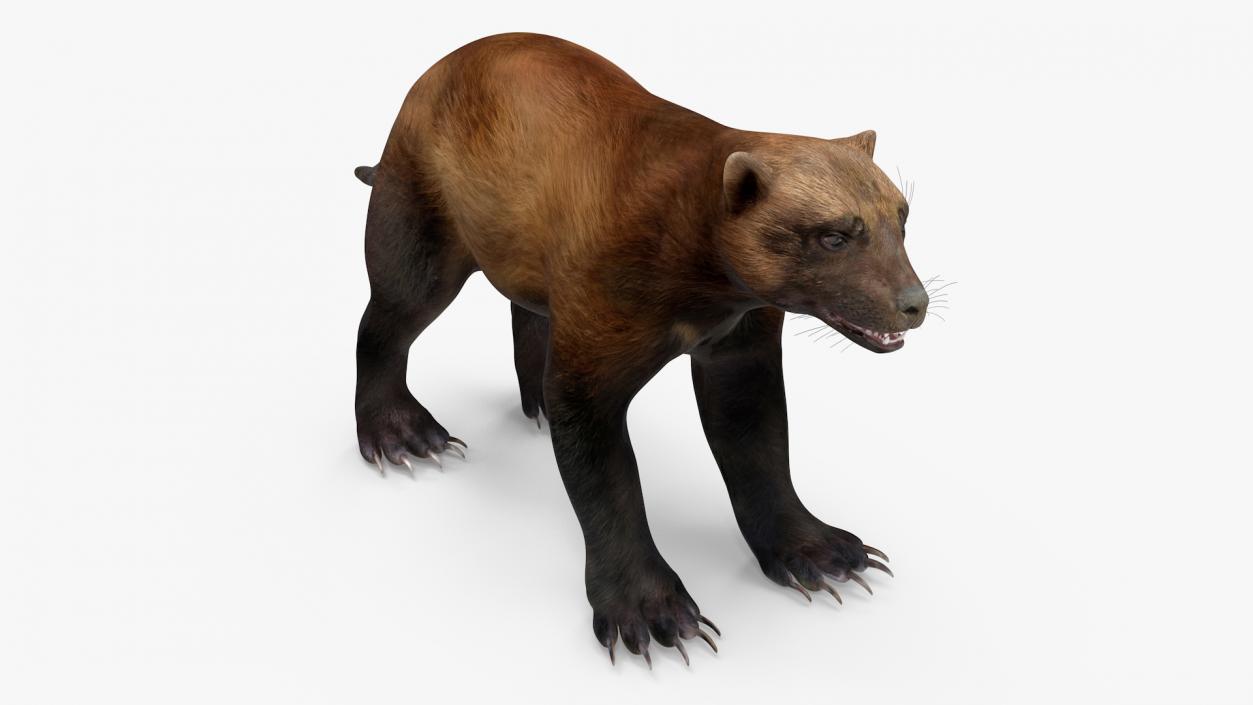 3D model Wolverine Dark Color