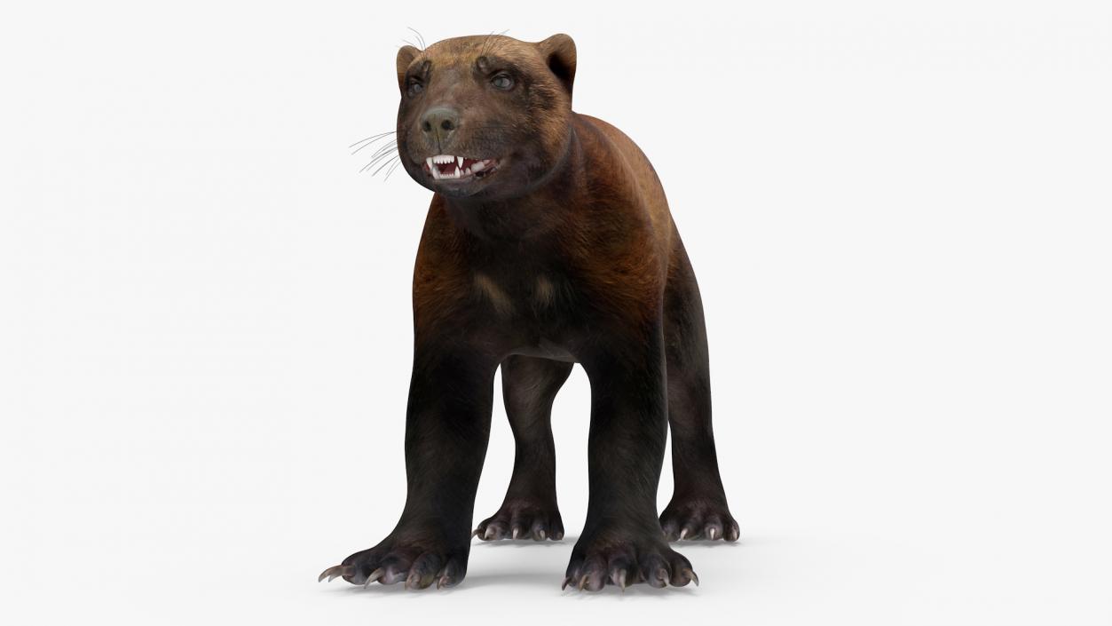 3D model Wolverine Dark Color