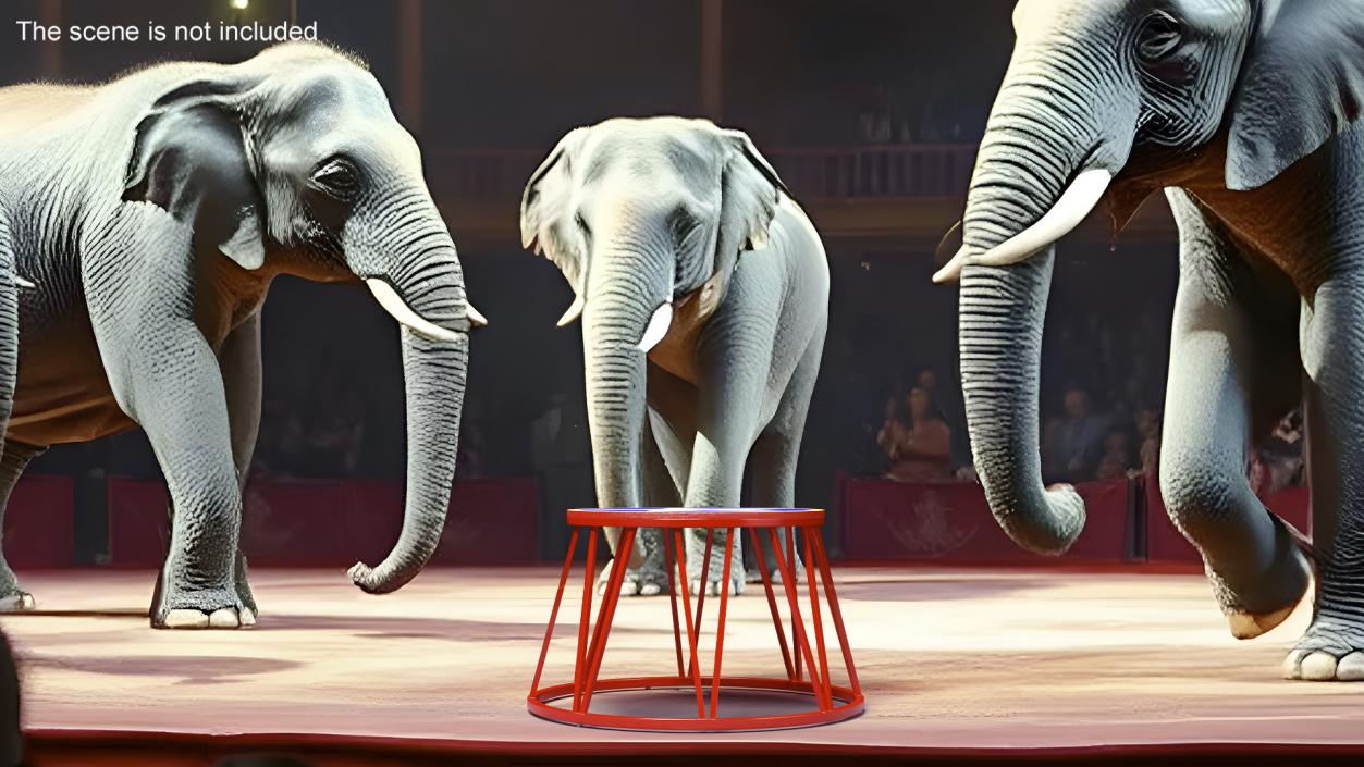 Circus Animal Stand 3D model