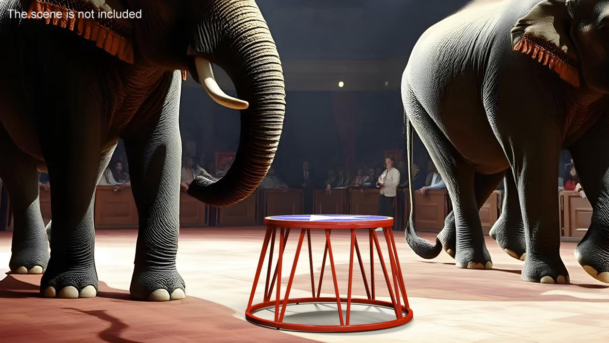 Circus Animal Stand 3D model