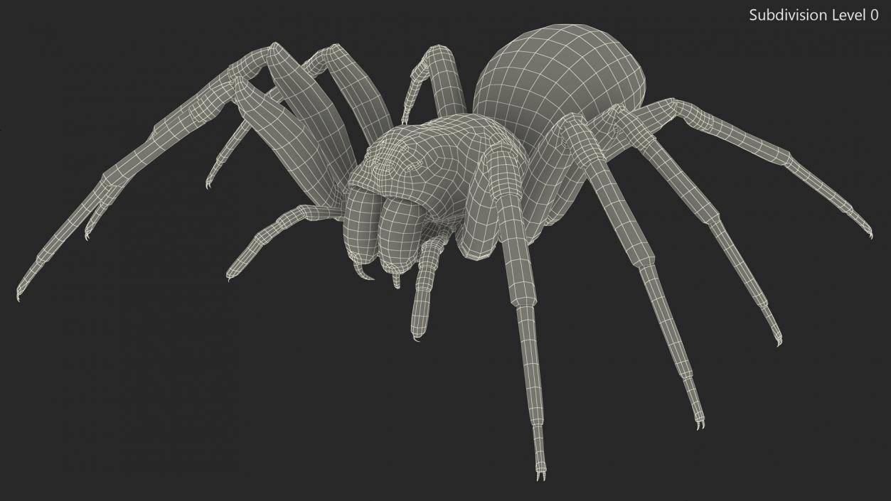 Black House Spider Fur Base Pose 3D