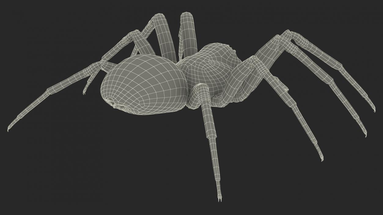 Black House Spider Fur Base Pose 3D