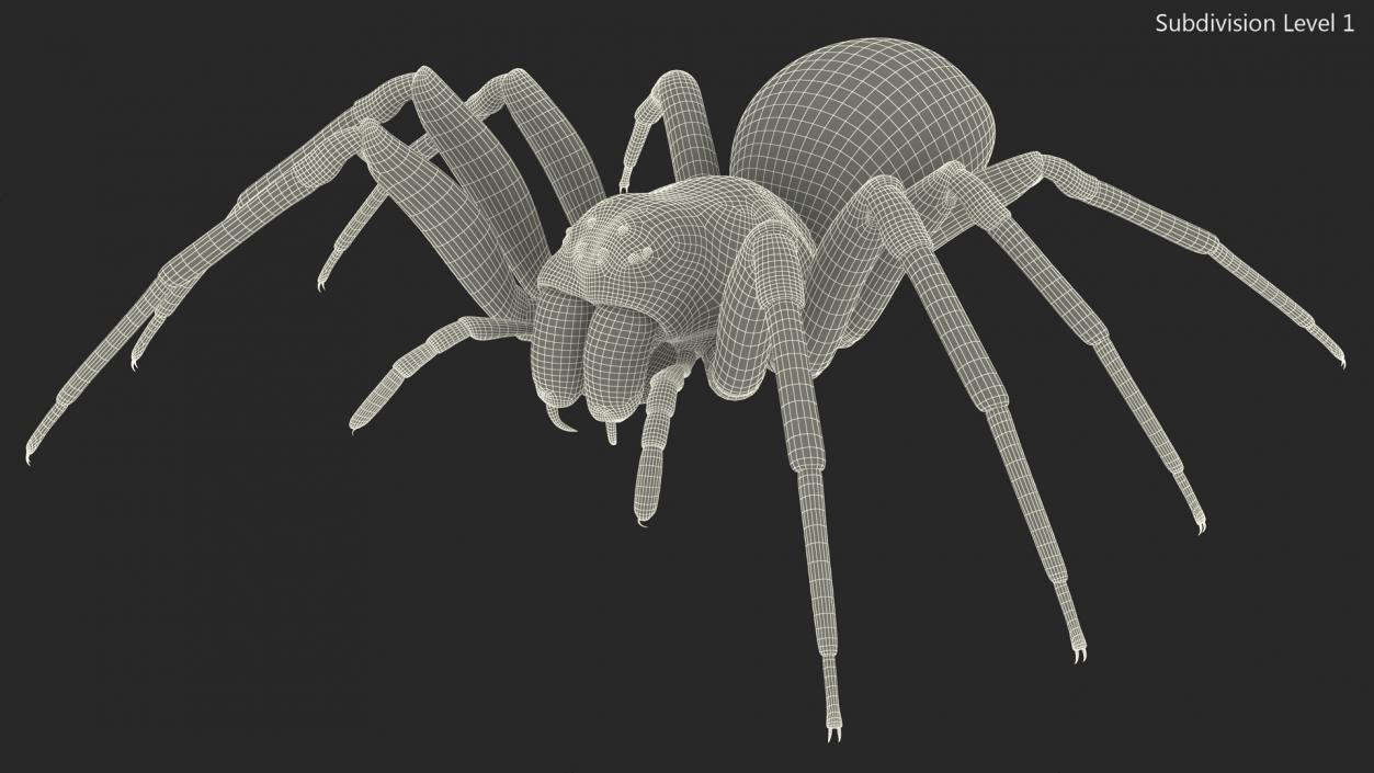 Black House Spider Fur Base Pose 3D