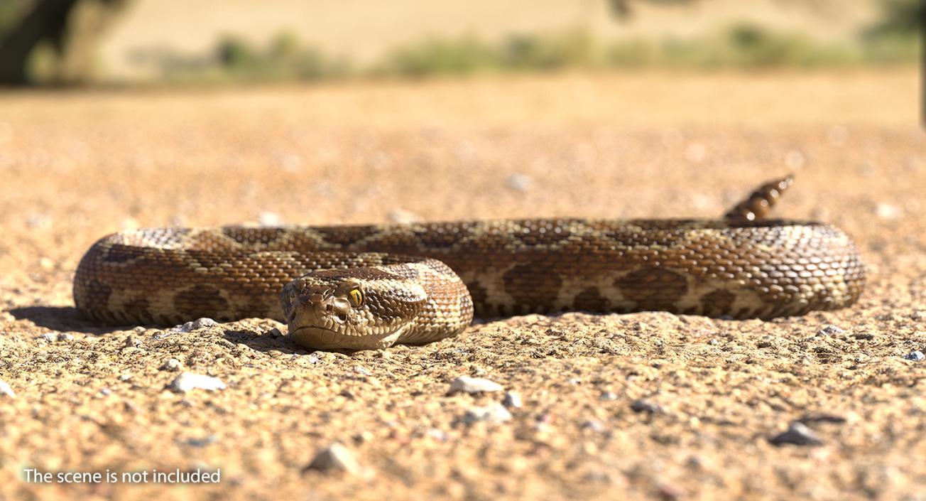 3D Light Rattlesnake Crawling Pose