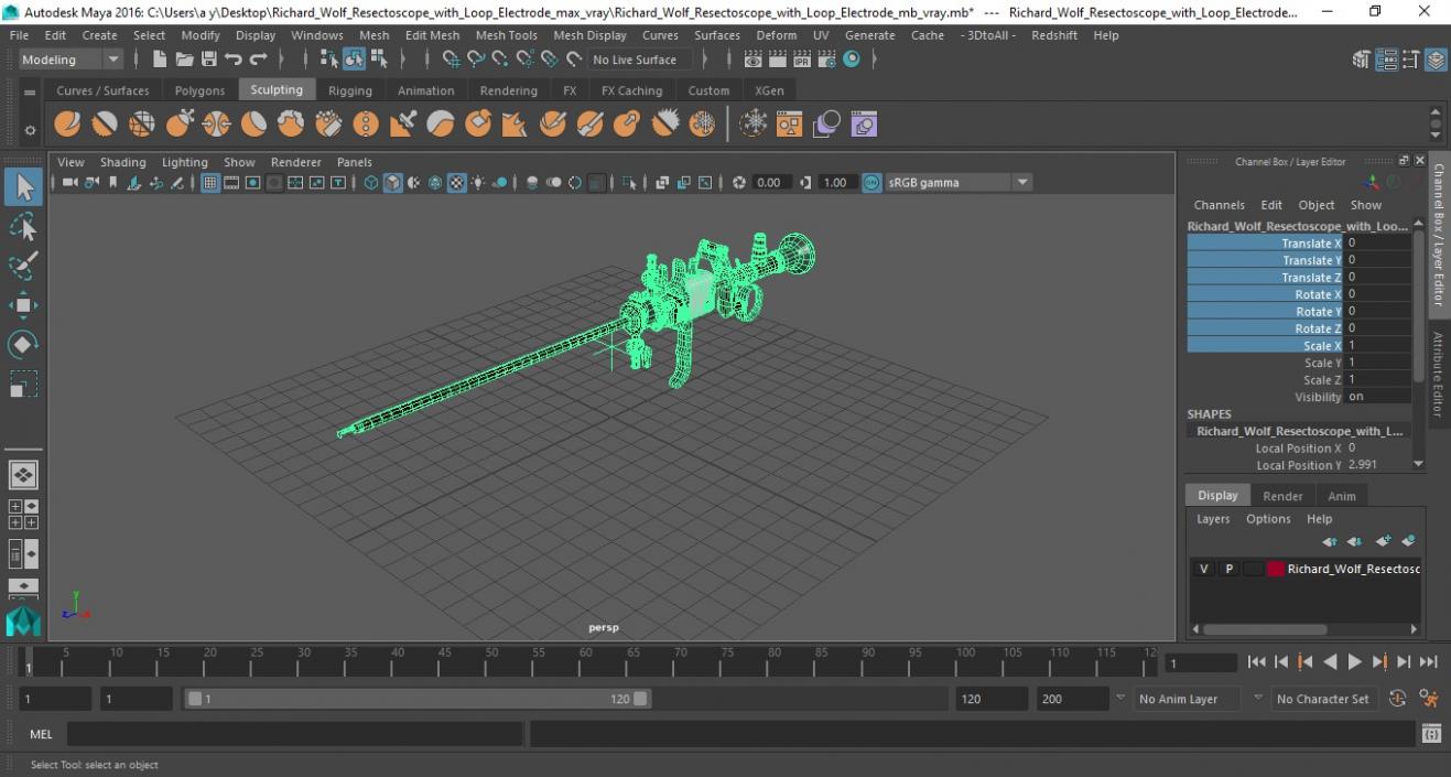 3D model Richard Wolf Resectoscope with Loop Electrode