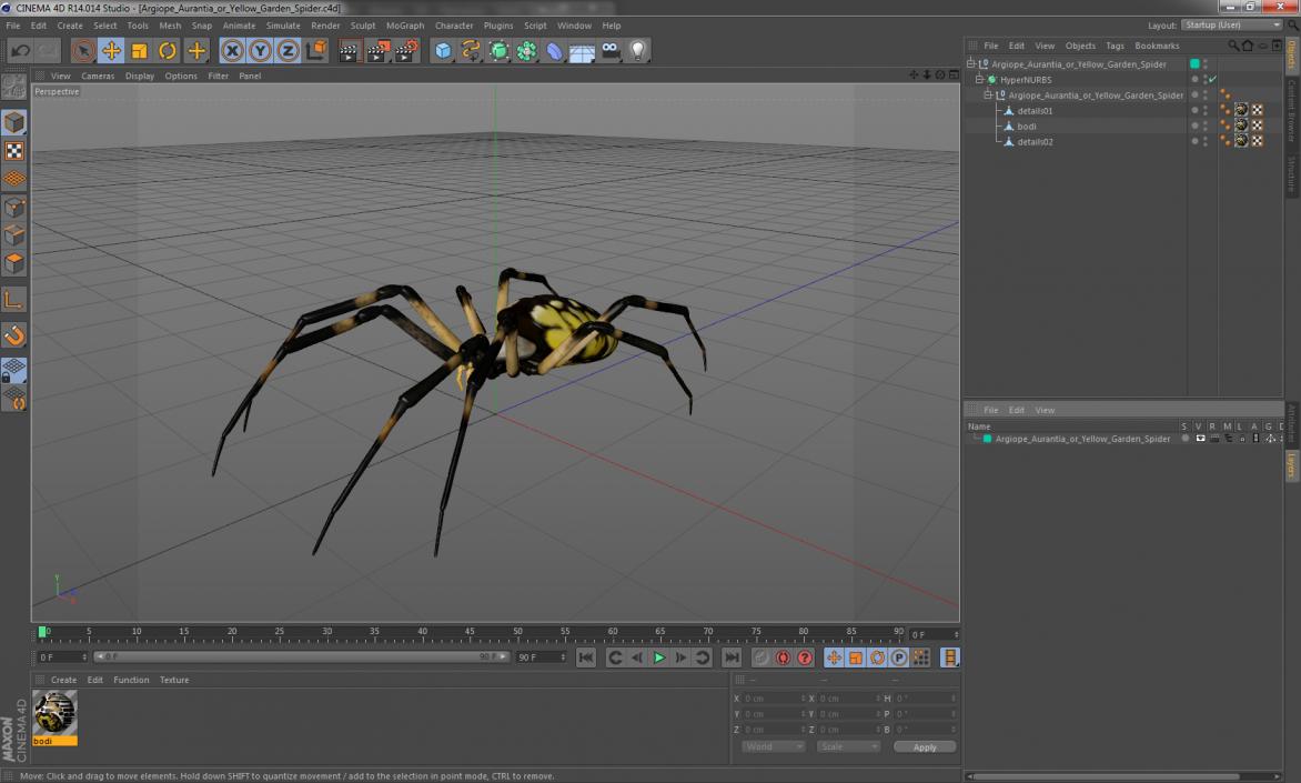 3D model Argiope Aurantia or Yellow Garden Spider