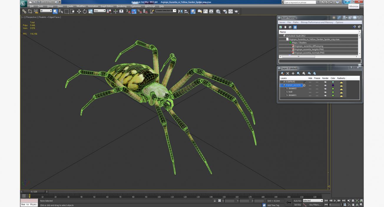 3D model Argiope Aurantia or Yellow Garden Spider