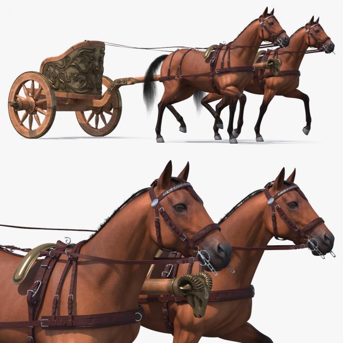 Roman Chariot with Horses Fur 3D model