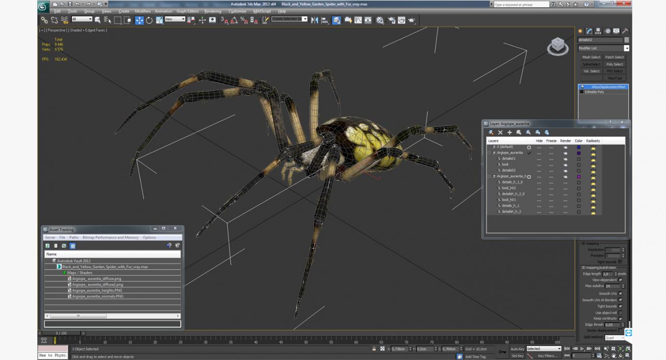 Black and Yellow Garden Spider with Fur 3D model