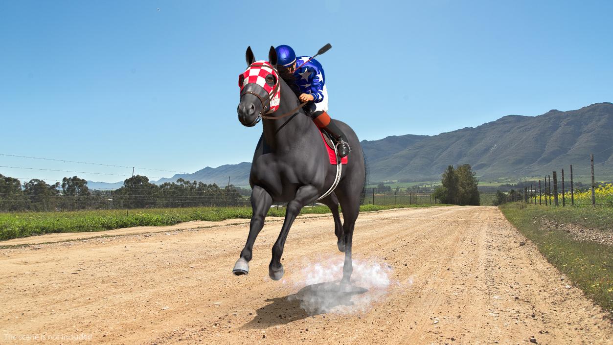 Black Racing Horse with Jockey Running Fur 3D