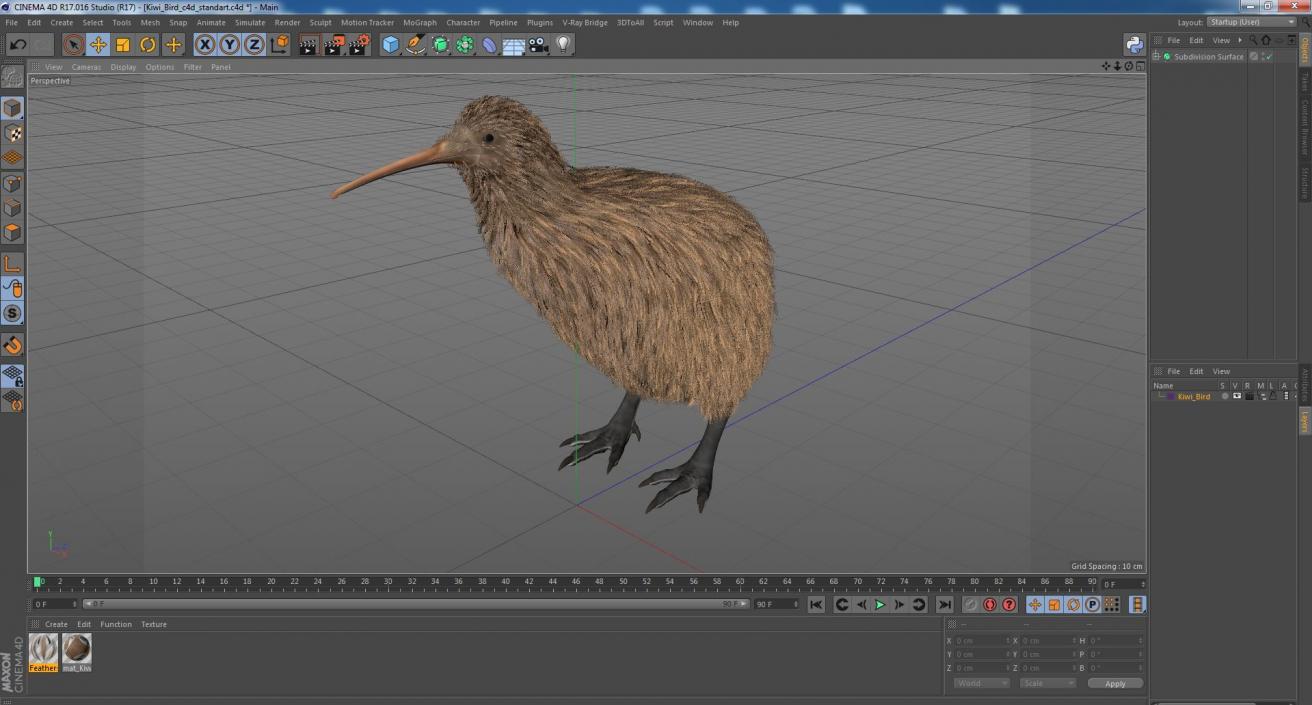 Kiwi Bird 3D model