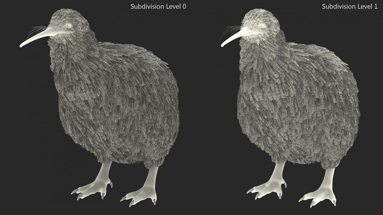 Kiwi Bird 3D model