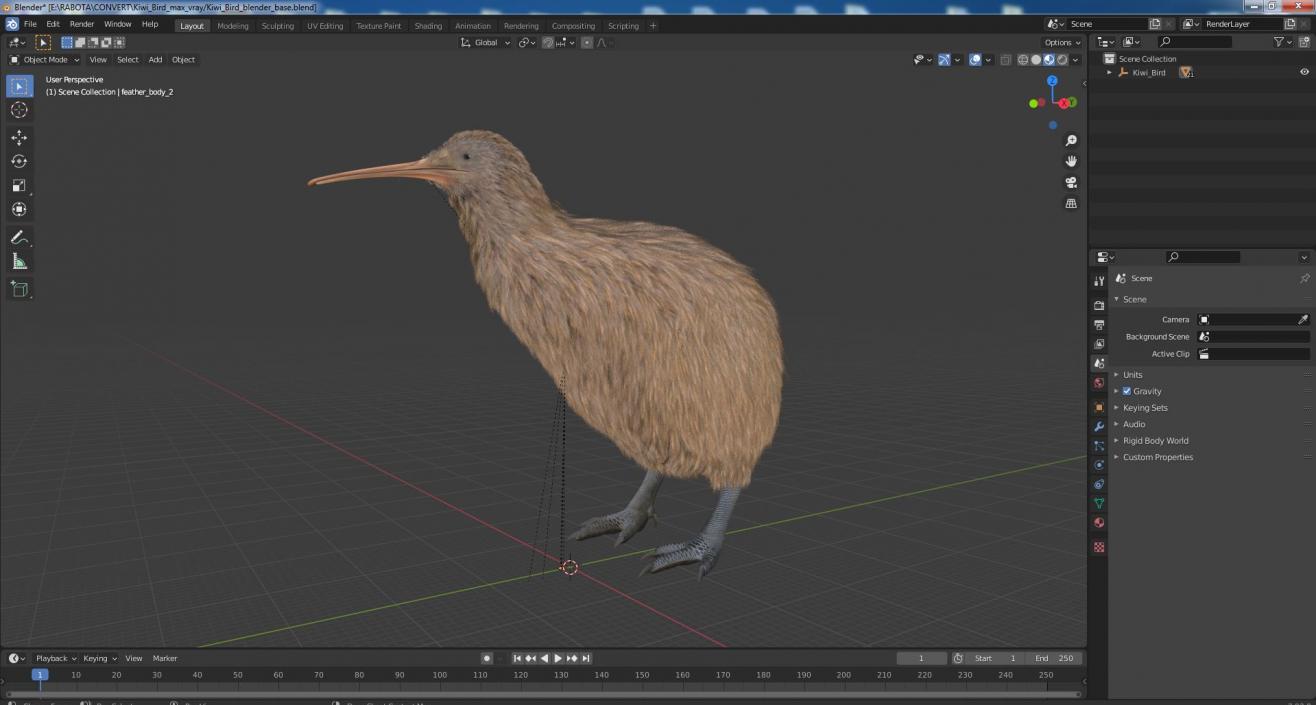 Kiwi Bird 3D model