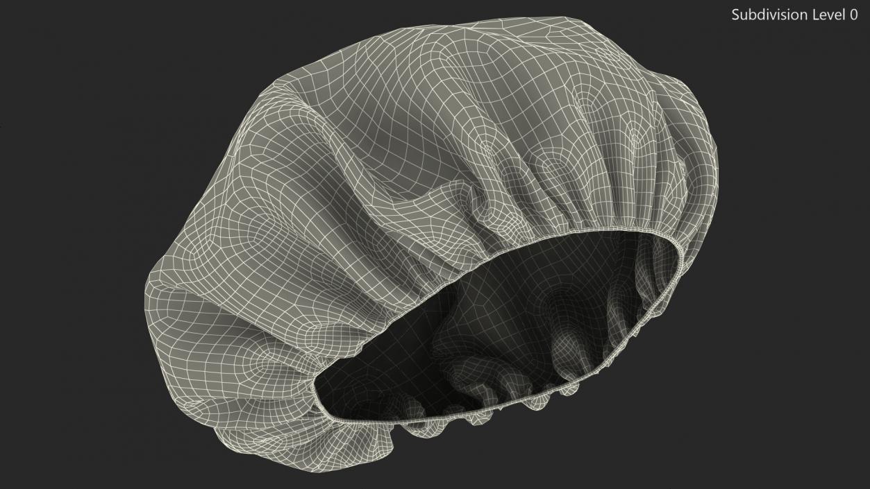 Disposable Hair Cap 3D model