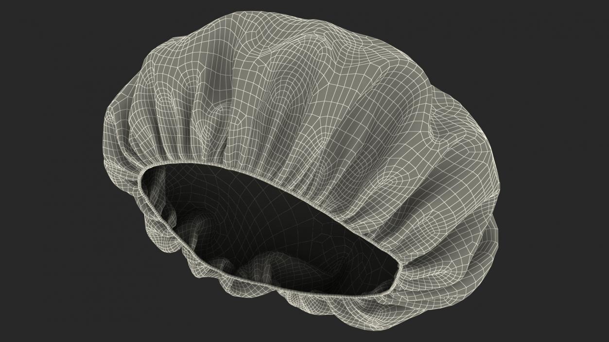 Disposable Hair Cap 3D model