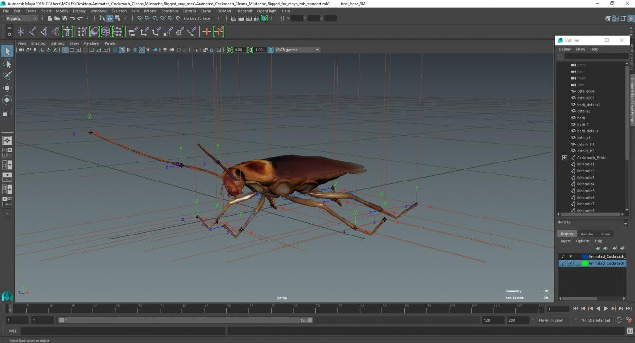 3D model Animated Cockroach Cleans Mustache Rigged for Maya