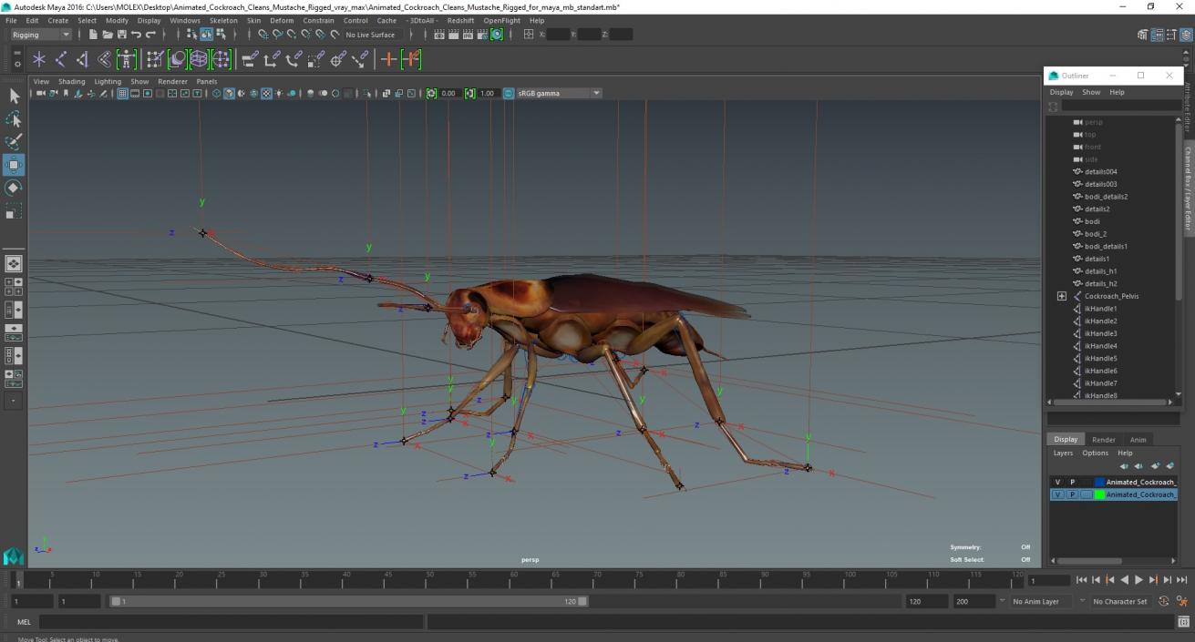 3D model Animated Cockroach Cleans Mustache Rigged for Maya