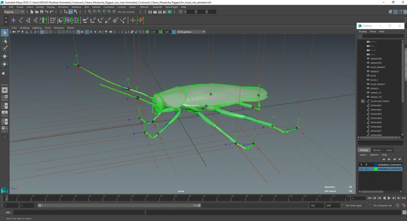 3D model Animated Cockroach Cleans Mustache Rigged for Maya