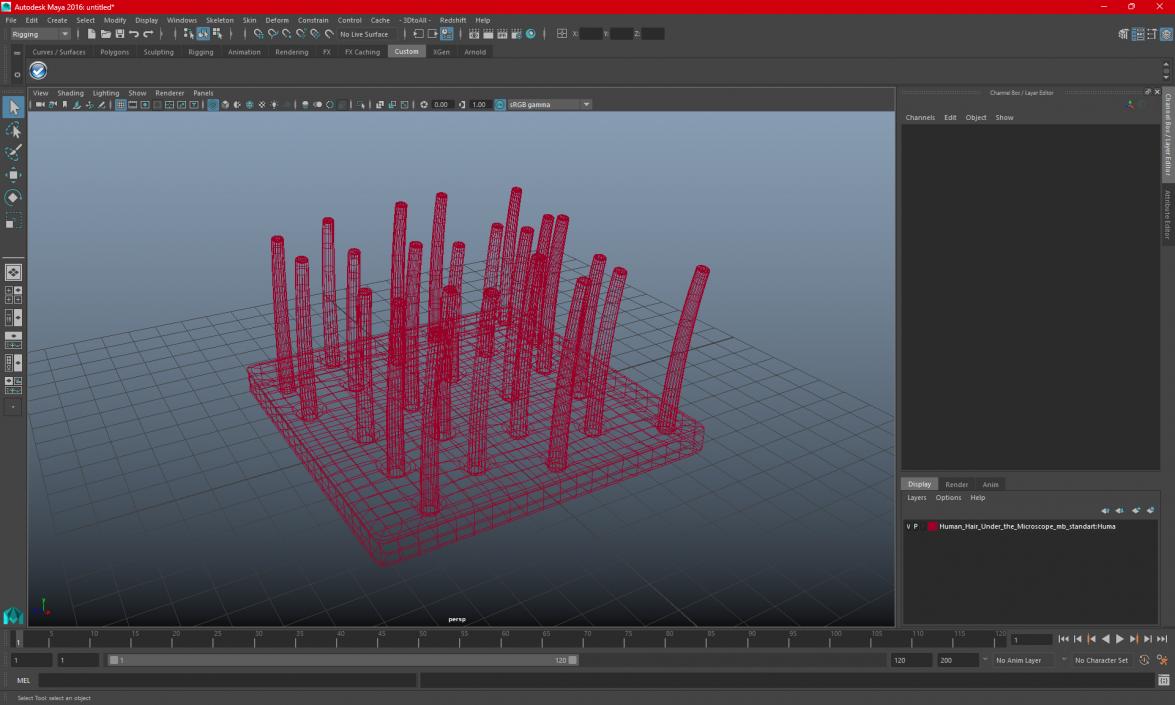 3D Brown Hair Under the Microscope 2 model