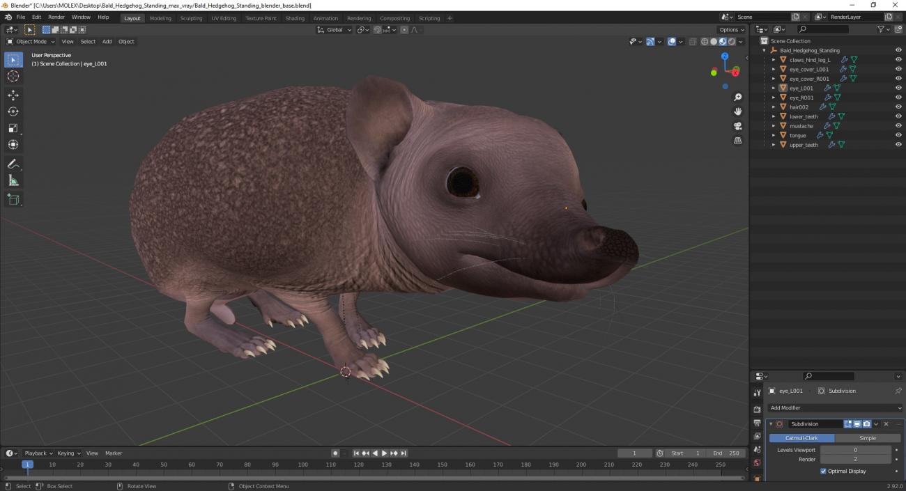 Bald Hedgehog Standing 3D