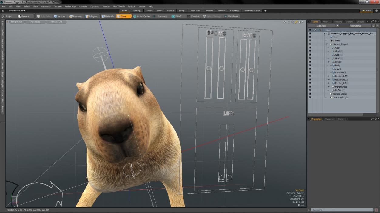 Marmot Rigged for Modo 3D