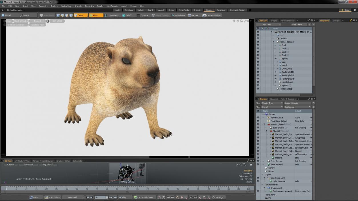 Marmot Rigged for Modo 3D