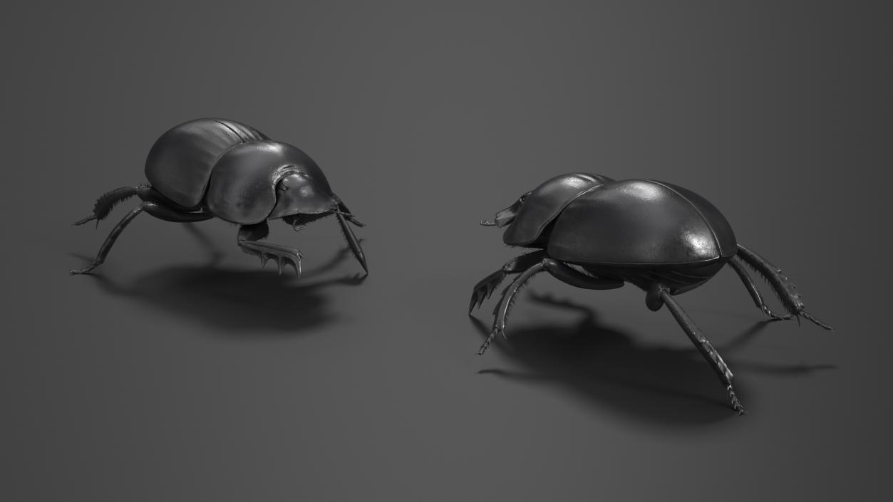 Soil Beetle Crawling Fur 3D model