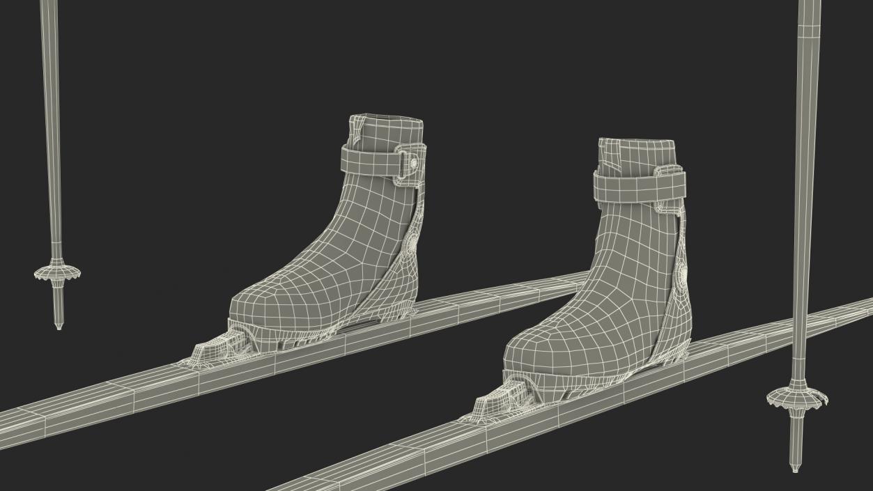 3D model Ski Boots with Poles