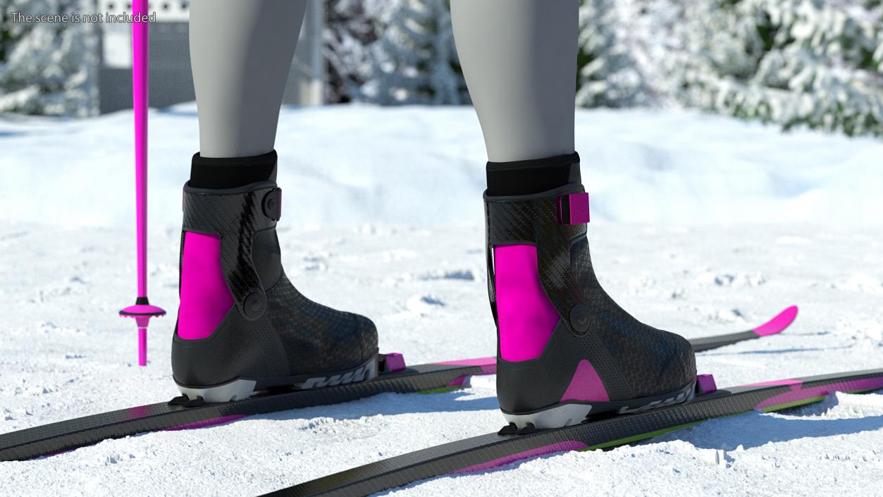 3D model Ski Boots with Poles