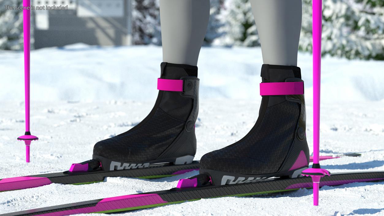 3D model Ski Boots with Poles