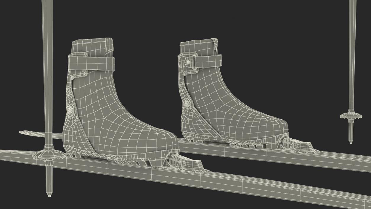 3D model Ski Boots with Poles