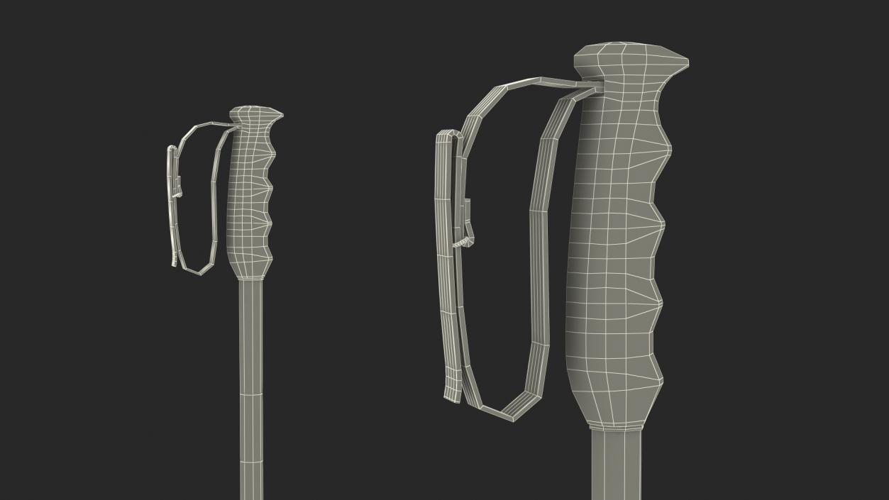 3D model Ski Boots with Poles