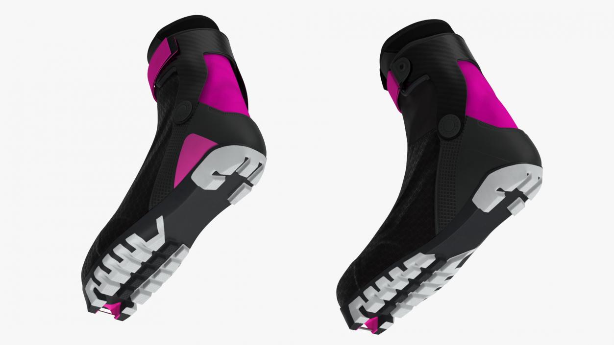 3D model Ski Boots with Poles