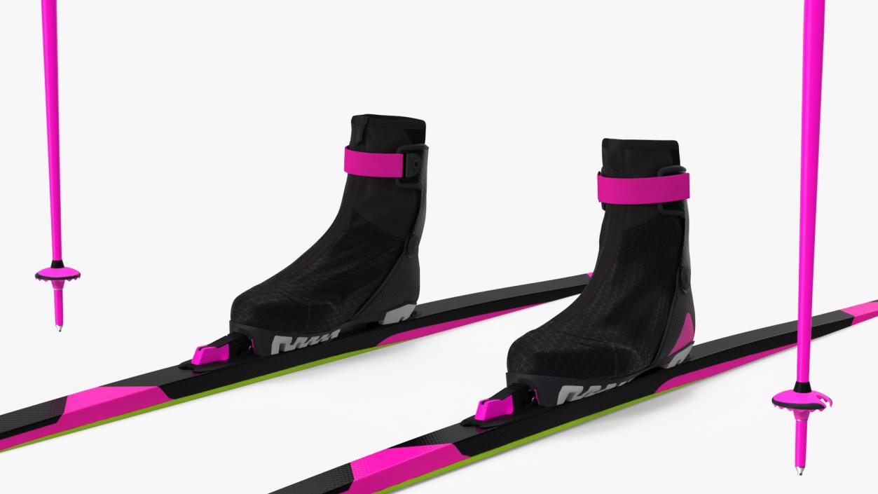 3D model Ski Boots with Poles