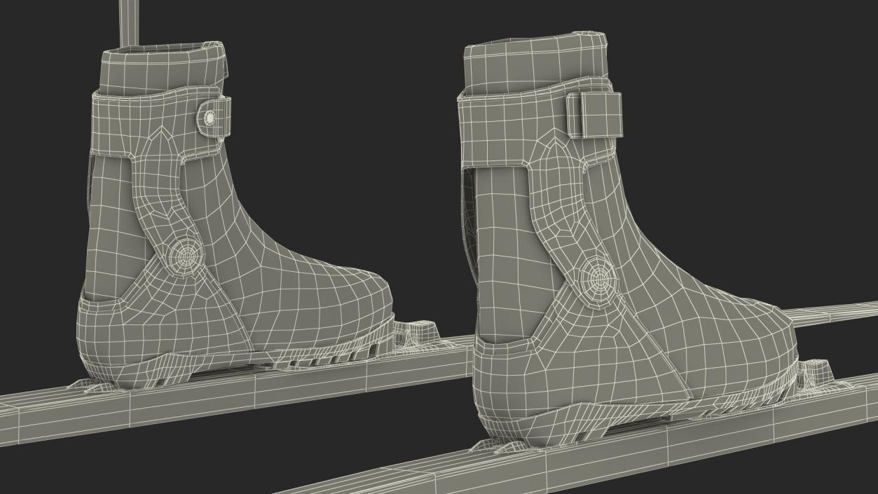 3D model Ski Boots with Poles