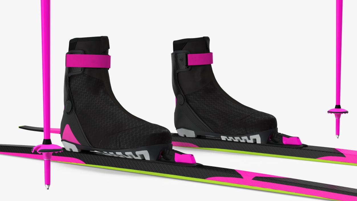 3D model Ski Boots with Poles