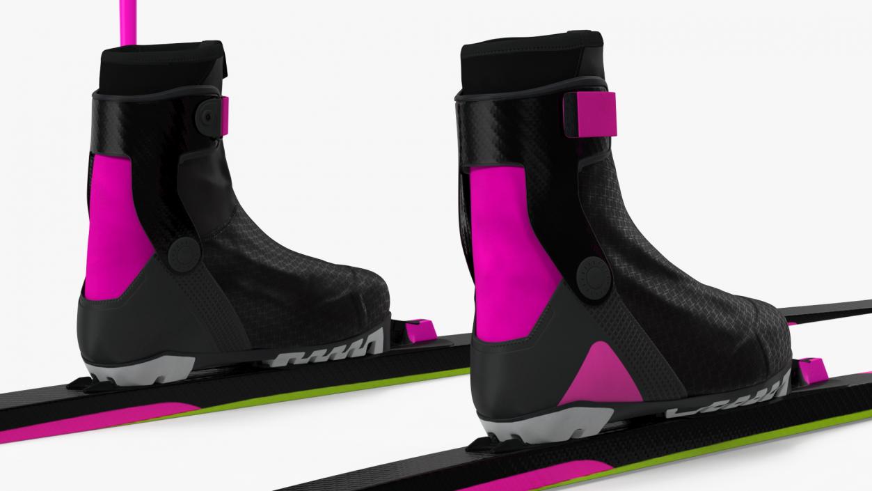 3D model Ski Boots with Poles